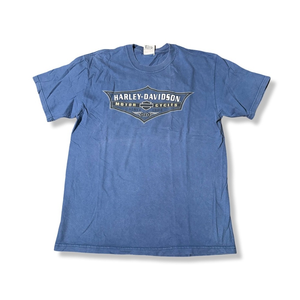 Harley-Davidson Graphic Tee Mens L Blue Excellent San Diego American Legend Vtg